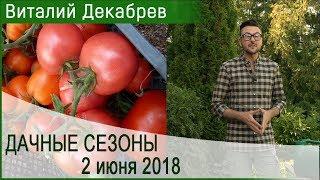 Дачные сезоны с Виталием Декабревым. 2 июня 2018