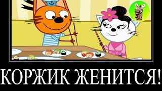 МУД ТРИ КОТА ДЕМОТИВАТОР 118 | КОРЖИК ЖЕНИТСЯ!