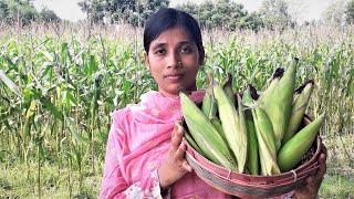 Farm Fresh Corn Pakora Recipe | Vutta Chop/Bora Recipe Cooking By Street Village Food