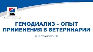 Вебинар на тему: "Гемодиализ - опыт практического применения в ветеринарии". Лектор - Ян Музалевский