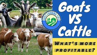 Raising Goats VS Cows: What's better or more profitable?