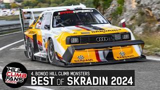 BEST of Skradin HillClimb Monsters 2024 | 4. BONGO Tribute hill climb 