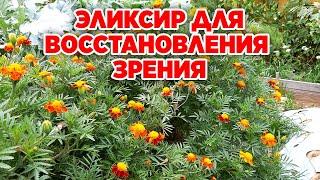 КАК СОХРАНИТЬ ЗРЕНИЕ ОТ КАТАРАКТЫ И ГЛАУКОМЫ