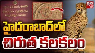 హైదరాబాద్ లో చిరుత కలకలం | Leopard Spotted In Rajendra Nagar | Hyderabad | BIG TV