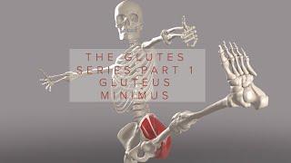 Glutes Series Part 1: Gluteus Minimus (3D Animation)