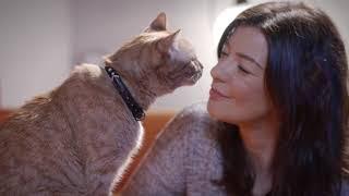MSD Animal Health - Food Safety