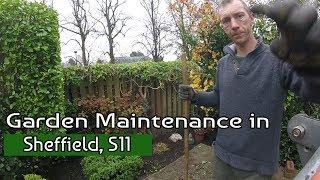 Garden Maintenance Sheffield S11