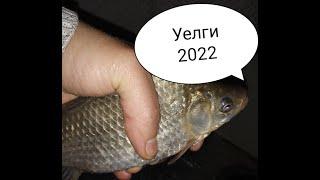 Уелги 2022. В поисках карася.  #рыбалка #уелги