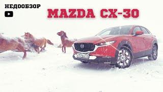 MAZDA CX-30 БЫСТРЫЙ ОБЗОР МИНУСЫ И ЦЕНЫ В РОССИИ