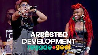 Arrested Development Live at Reggae Geel Festival 2024