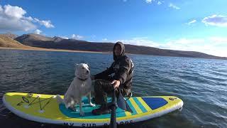 На сапе с собакой. Dogs love SUP boards touring.