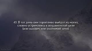 Прекрасное чтение 70 суры «Ступени». Мухаммад аль-Люхайдан