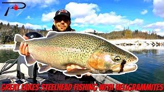 Great Lakes Steelhead Fishing with Hellgrammites