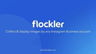 How to display an Instagram feed by any Business account | Flockler