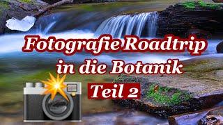 Fotografie Roadtrip in die Botanik - Laßnitzer Klause & Burg Deutschlandsberg Teil 2