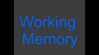 Executive Functions: What is Working Memory ?