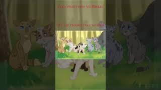 Look What we became..#edit #warriorcats #foryou #brightheart #swiftpaw #myidea