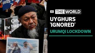 Muslim Uyghur rights “ignored” amid covid lockdowns in China's Xinjiang province | The World