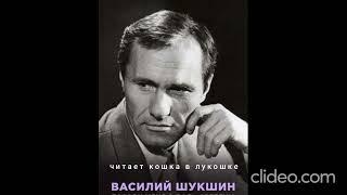 В. ШУКШИН "Материнское сердце" - очень трогательный рассказ