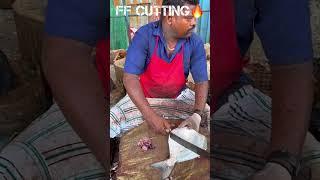 KASIMEDUSPEED SELVAM WHITE POMFRET FISH CUTTING VIDEO #kasimeduselvam #fishcutting #youtubeshorts