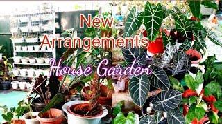 NEW ARRANGEMENTS TO OUR HOUSE PLANTS