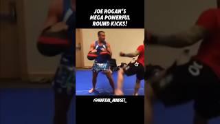 Joe Rogan can BANG! #muaythai