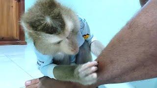 Lyly Satisfying Asmr Features Soft Grooming Sounds That Pleasantly Indulge The Senses