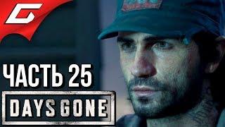 DAYS GONE (Жизнь После)  Прохождение #25  НЕУЖЕЛИ ЭТО...