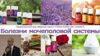 Эфирные масла YOUNG lIVING (Янг Ливинг) Городиский Б.В. Болезни мочеполовой системы