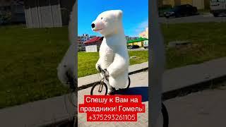 Поздравление от белого танцующего мишки в Гомеле! +375293261105 #белый #медведь #гомель