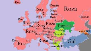 Flowers | European Languages Comparison