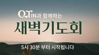 2025-03-11 (화) | 큐티인 | 누가복음 14:1-14 | 하나님 나라의 원리 | 김의환 목사 | 우리들교회 새벽기도회