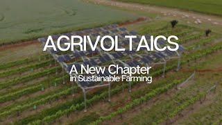 Vine and the Sun: A New Chapter in Sustainable Farming