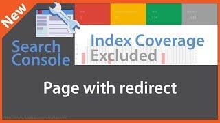 Page with Redirect - Google Search Console Index Coverage Excluded Reports