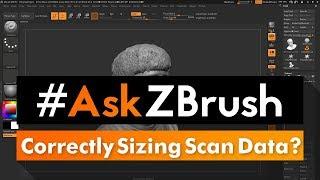 #AskZBrush: “How can I correctly size imported scan data?”