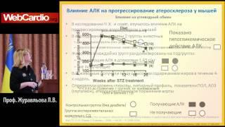 Гепатотропный вектор в терапии пациентов высокого кардиоваскулярного риска