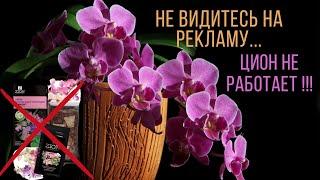 #Цион для орхидей - #деньги на #ветер, как и любой другой цион #Чудо не случилось 