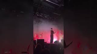 Hippo Campus "Sex Tape" Live in Chicago, Illinois on 5/30/25 #concert  #hippocampus