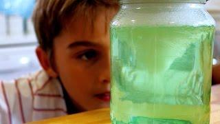 How to make a tornado in a jar science trick