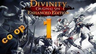 Divinity Original Sin Enhanced Edition coop part 1 Character Creation