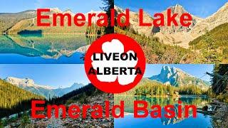 What a HIDDEN GEM, Emerald Basin Hike via Emerald Lake, British Columbia #hiking