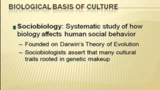 Sociobiology