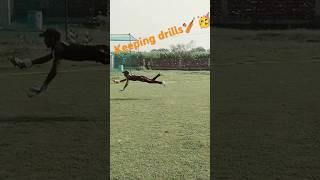flying ️️ #wicketkeeperbatsman  #cricket #viral #like
