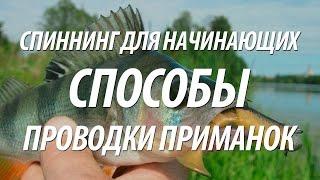 РЫБАЛКА НА СПИННИНГ ДЛЯ НАЧИНАЮЩИХ. СПОСОБЫ ПРОВОДКИ СПИННИНГОМ ПРИМАНКИ