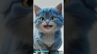 Meow show #cat #meow #cute #funny #shorts
