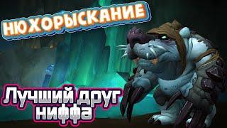 НЮХОРЫСКАНИЕ - Подробный гайд на достижение ЛУЧШИЙ ДРУГ НИФФА в World of Warcraft: Dragonflight #wow