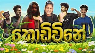 කොඩිවිනේ | Kodivine | sinhala comedy | @LulaProductions-ලූලා