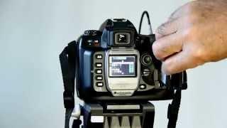 Nikon D100  6.1 Million Pixels Shutter Sound   2002