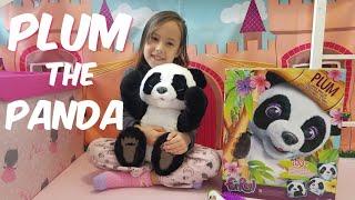 Plum, The Curious Panda Bear Cub! Rachel shows you her new Furreal panda that she got for Christmas!