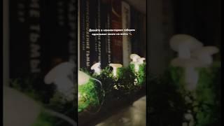А читаем вместе в ТГ: Юля Креат #booktok #книги